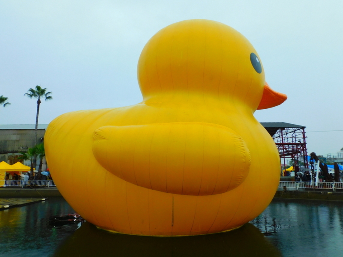 すみのえアート・ビート2025でアヒルちゃん！(1)雨中のスタンプラリー