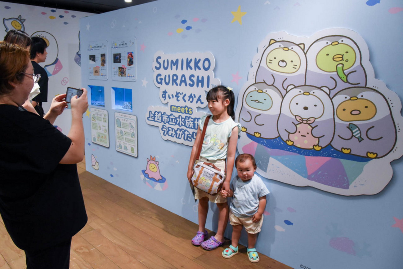 すみっコぐらし」の世界観を水族館で 上越市のうみがたりでコラボ展 