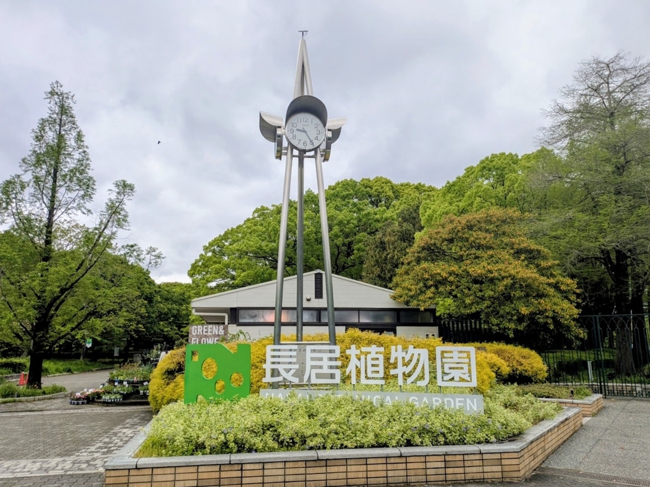 🌳【長居公園】『大阪市立長居植物園』❛ネモフィラフェア❜ 藤の花と
