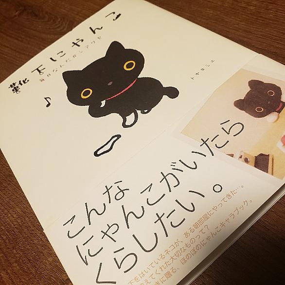 靴下にゃんことは 一般の人気 最新記事を集めました はてな 靴下にゃんことは 一般の人気 最新記事を集めました はてな