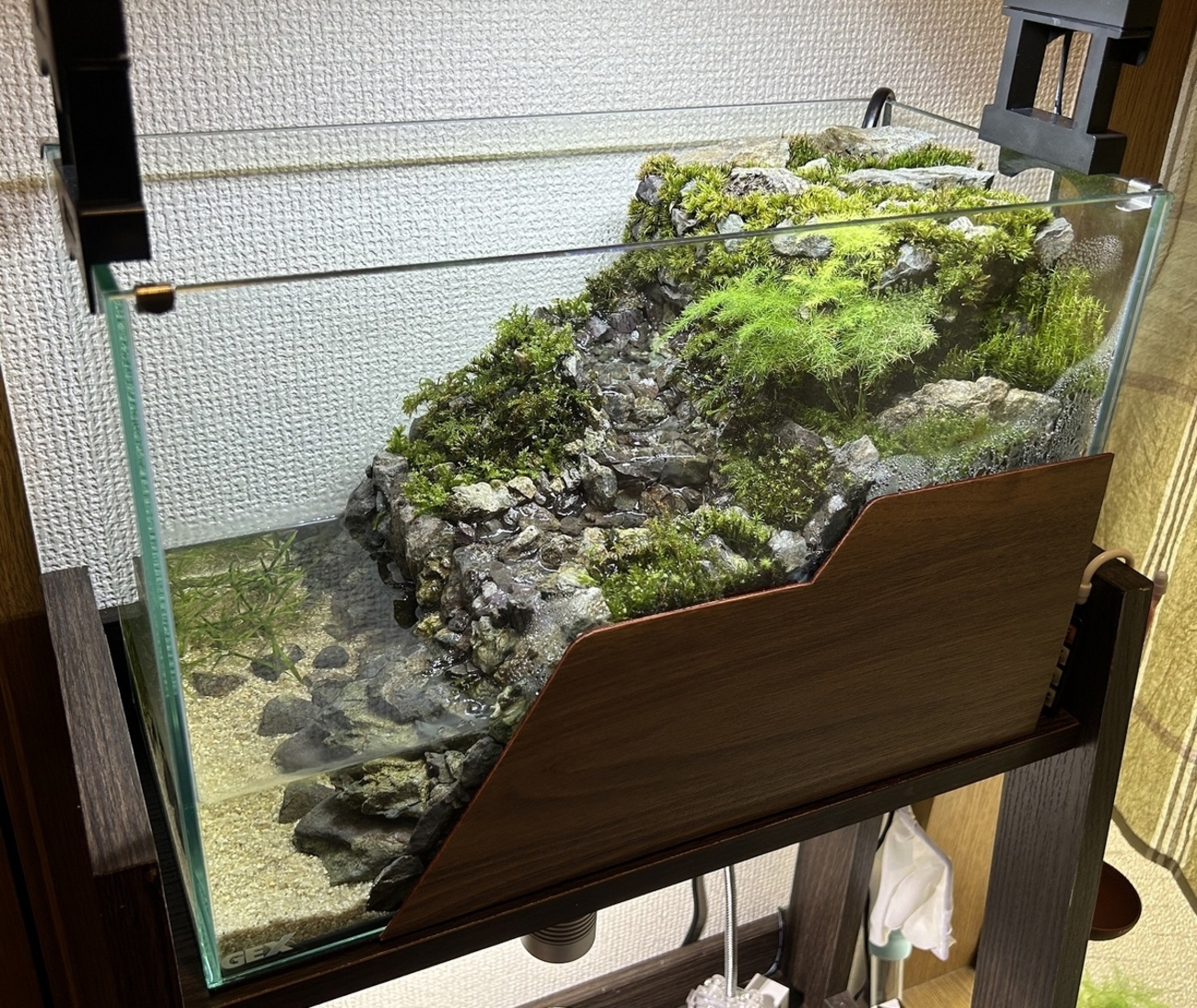 川の流れるアクアテラリウム作成⑩ ～完成～ - 淡水海水30cm生活