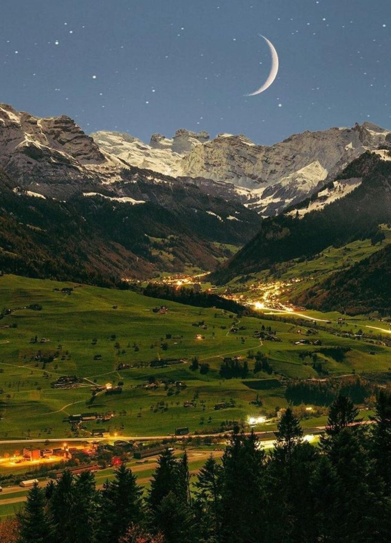 ムーンライト・セレナーデ」 なぜ、ルネサンス初期の肖像画はみな横を向いているのか？ - 愛に恋