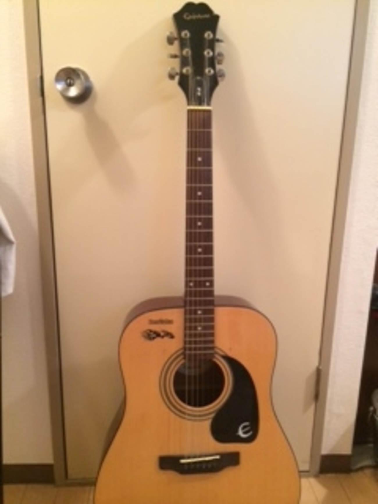 EPIPHONE エピフォンDR-100 NA ソフトケース及びピックアップ