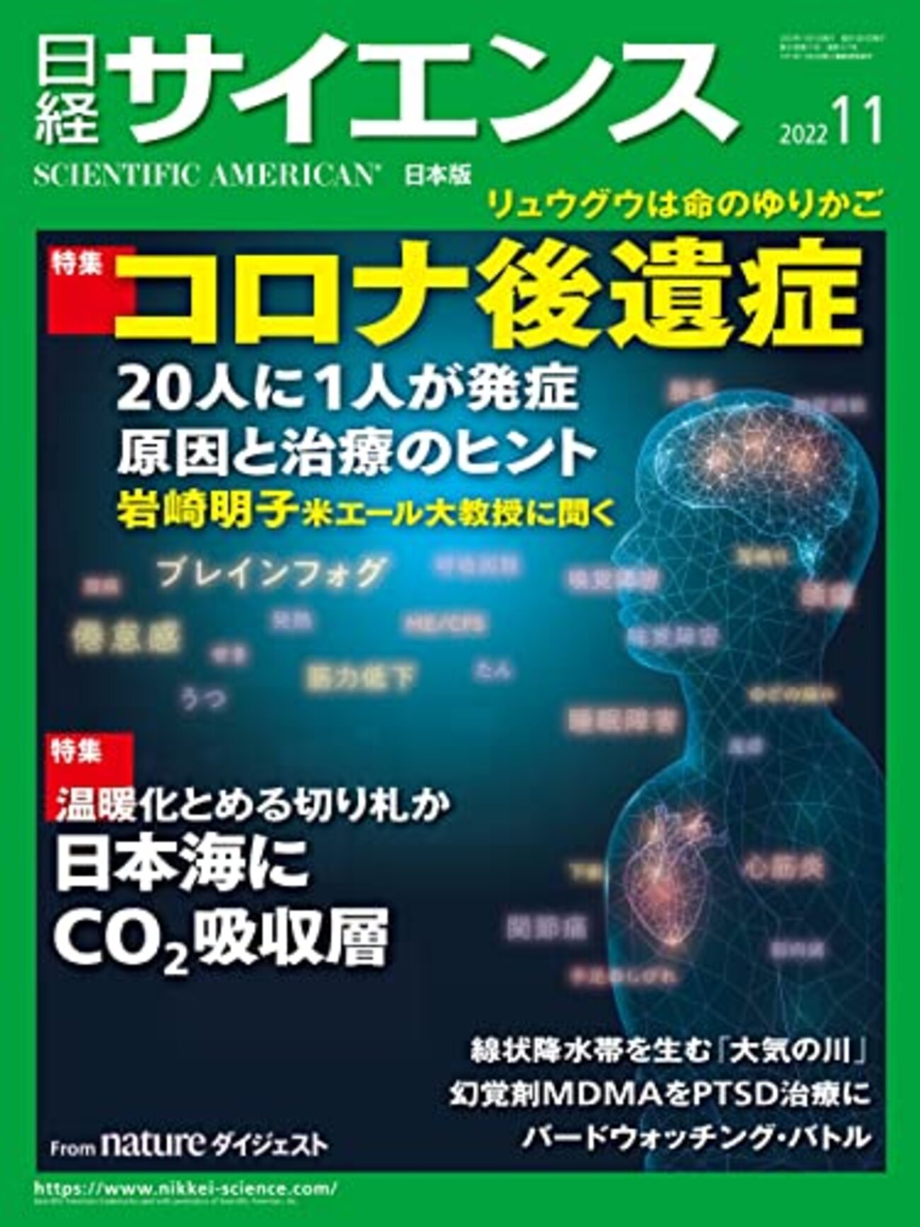 日経サイエンス 28冊セット 2021年11月〜2023年10月 2020年 日経サイエンス2022年11月号』 - logical cypher scape2