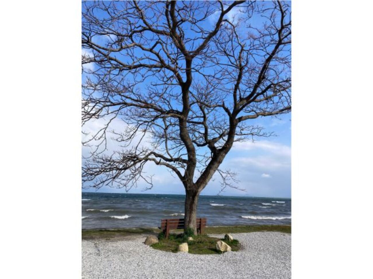 琵琶湖畔の【あのベンチ】はどこにある？場所や設置の由来など♪ - チョコレート日記