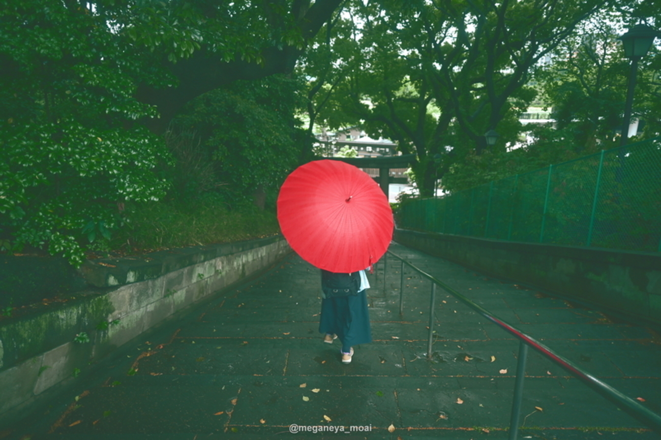 585話・Nikon】Zf＆Z 26mm F2.8＆Z 40mm F2で撮る「雨の上野