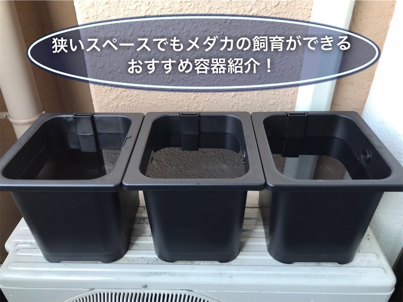 ベランダ等狭いスペースでもメダカの飼育ができるおすすめ容器紹介