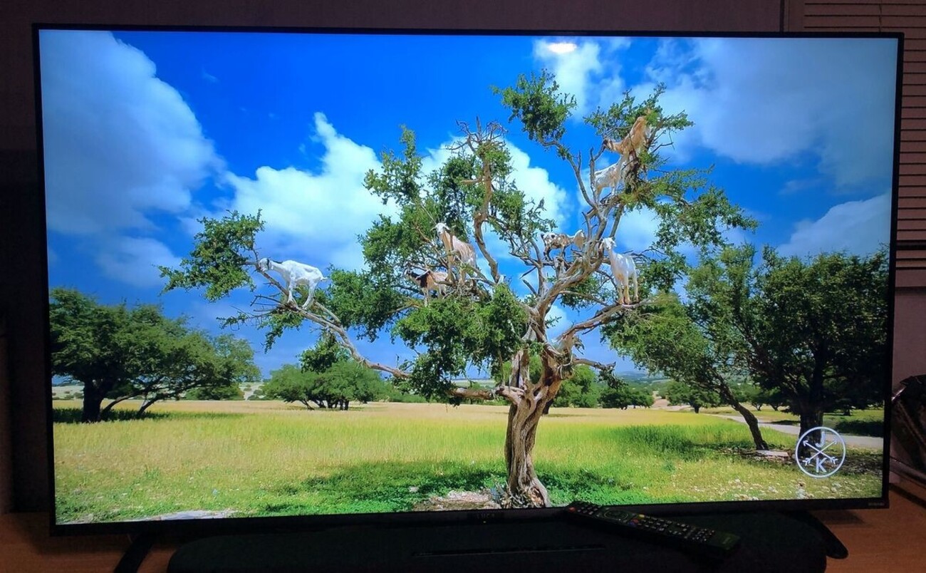 55インチ4K液晶テレビ LUCA LT-55B620購入 - なんか:かんがえて-6