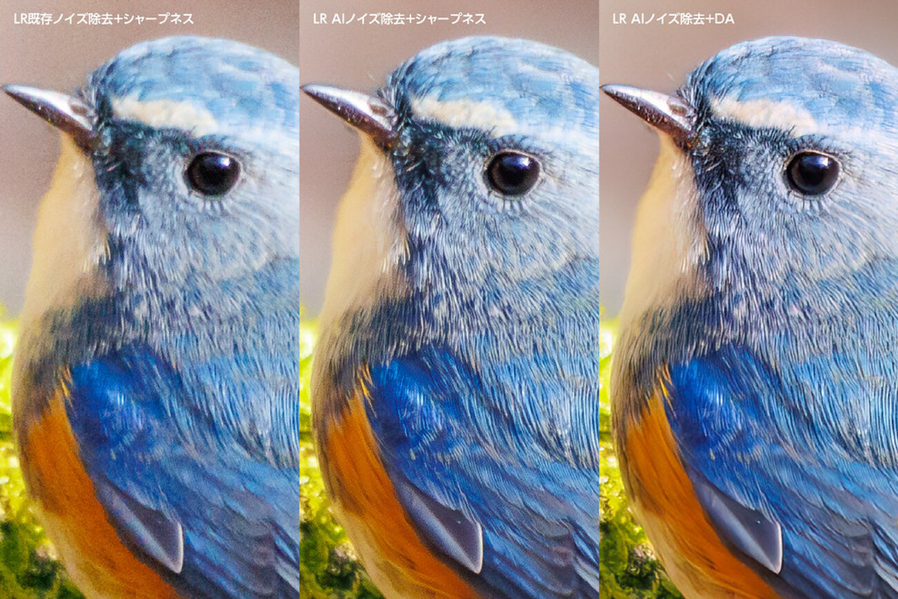 backend=imagemagick;version=1;