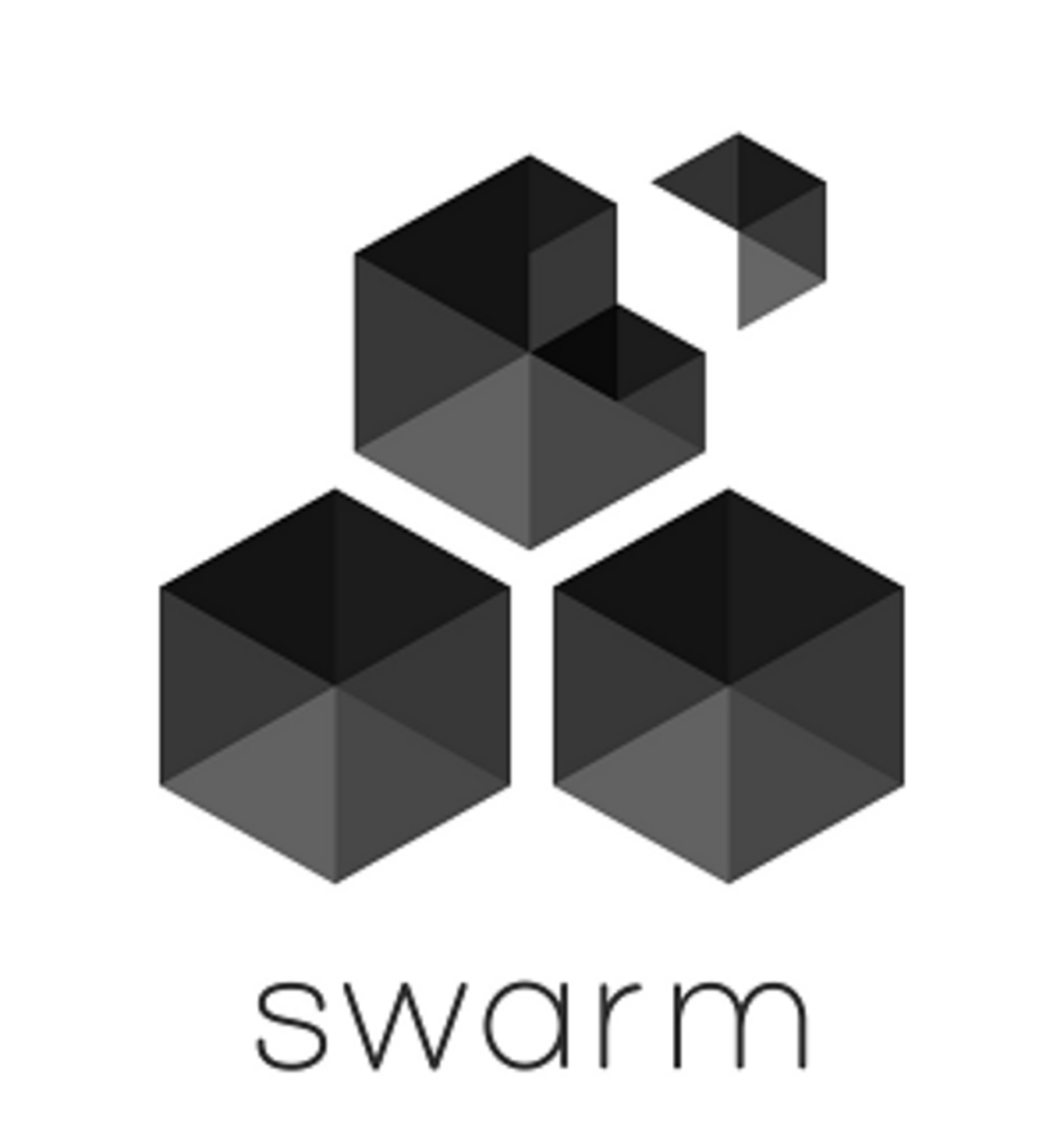 Ethereum Swarmとは？ - Supreme Information Freedom