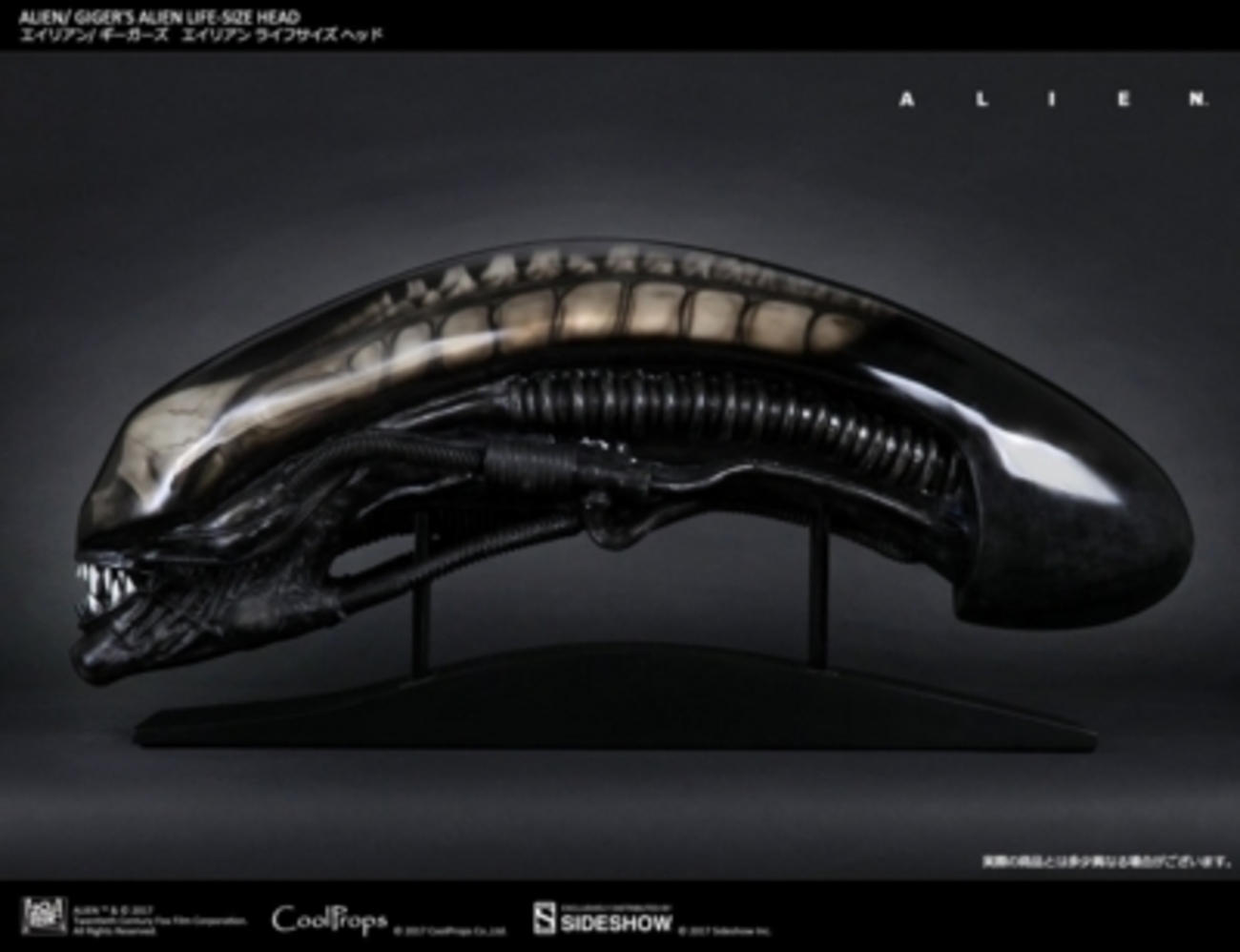 CoolProps のビッグチャップヘッドは買うべき？ - これくたぶる！