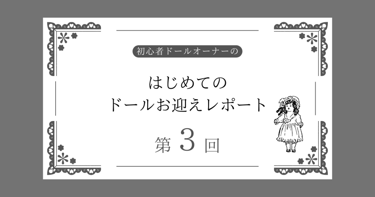 パオラレイナ　カスタム　お迎え決まりました パオラレイナ カスタム お迎え決まりました その他