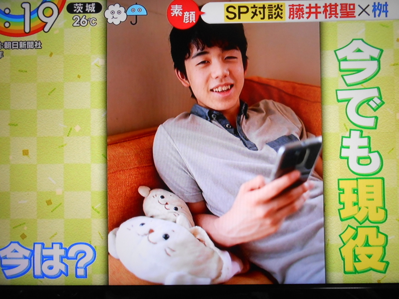 しろたん　将棋　ぬいぐるみ　飛車　藤井聡太　マザーガーデン　マザーグースの森 2025年最新】しろたん 将棋の人気アイテム - メルカリ