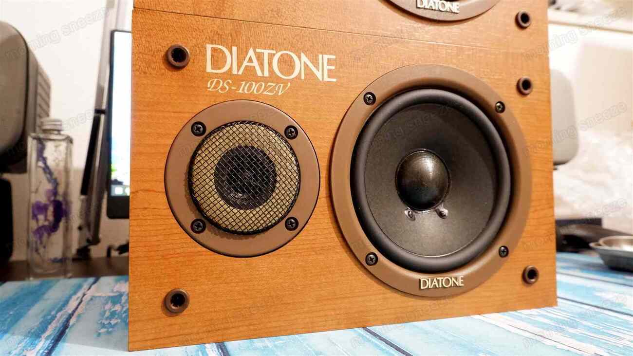 DIATONE DS-100ZV を鳴らしてみる - いつか消える文章