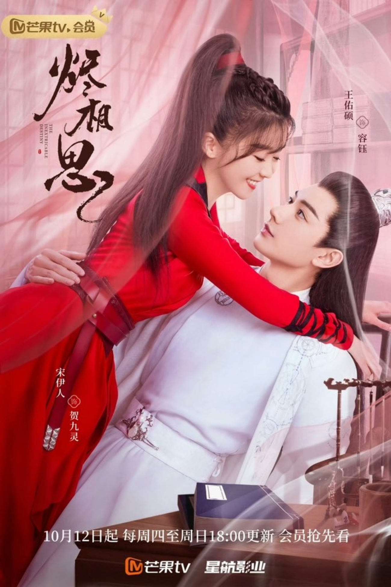 雪花咲く、君を想う 全13巻セット 中国ドラマ DVD 雪花咲く、君を想う 全13巻 全巻 セット - メルカリ