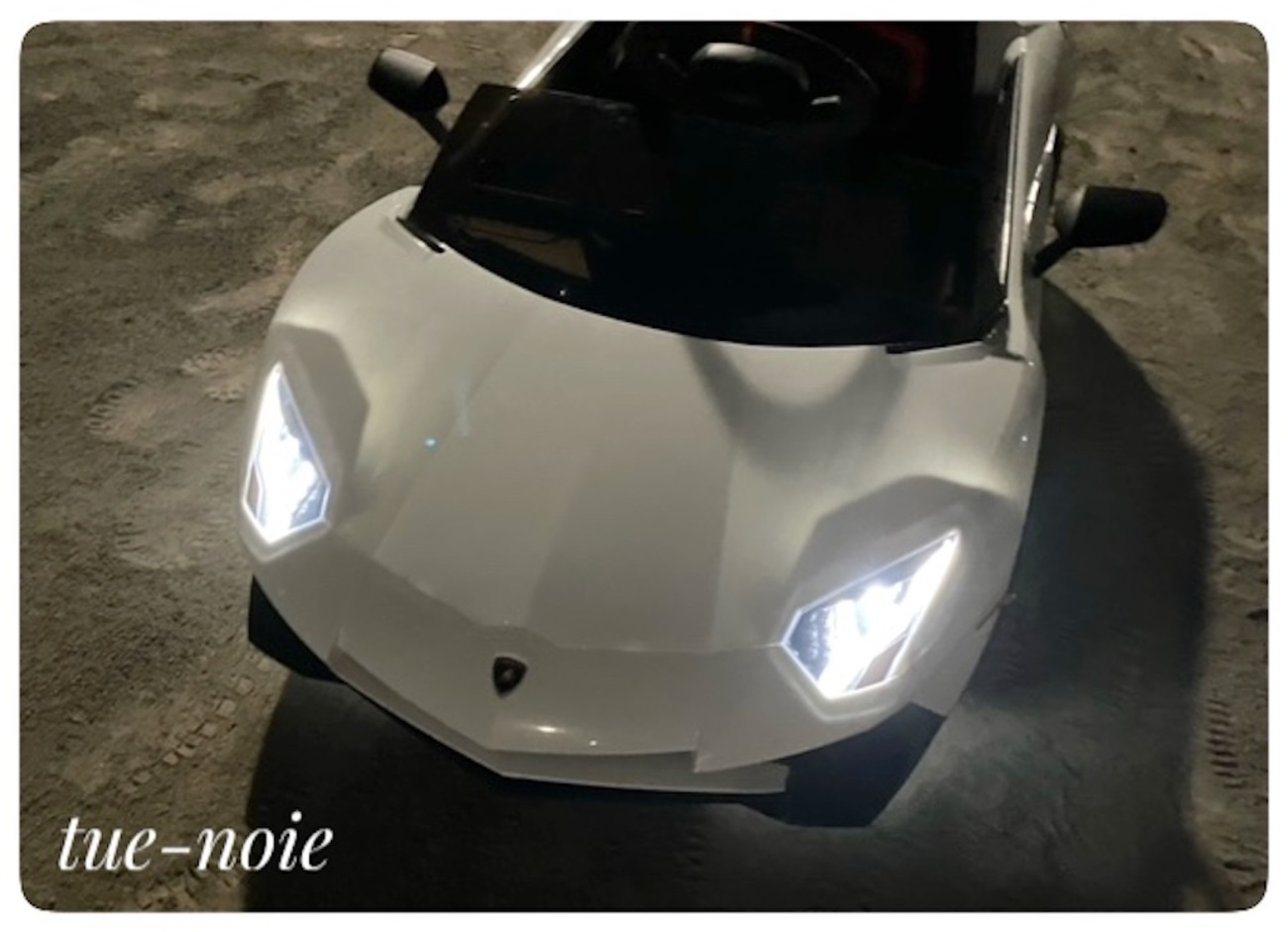 ランボルギーニ買っちゃった〜♪ 値段と乗り心地【電動乗用ラジコン 