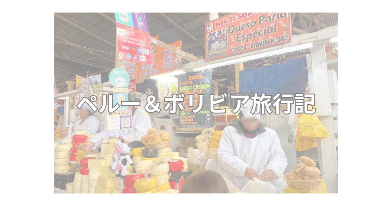 インカ帝国時代の首都・クスコ観光前半！アルパカ・ペルー料理・市場などを満喫☀【ペルー＆ボリビア旅行・PART 4】