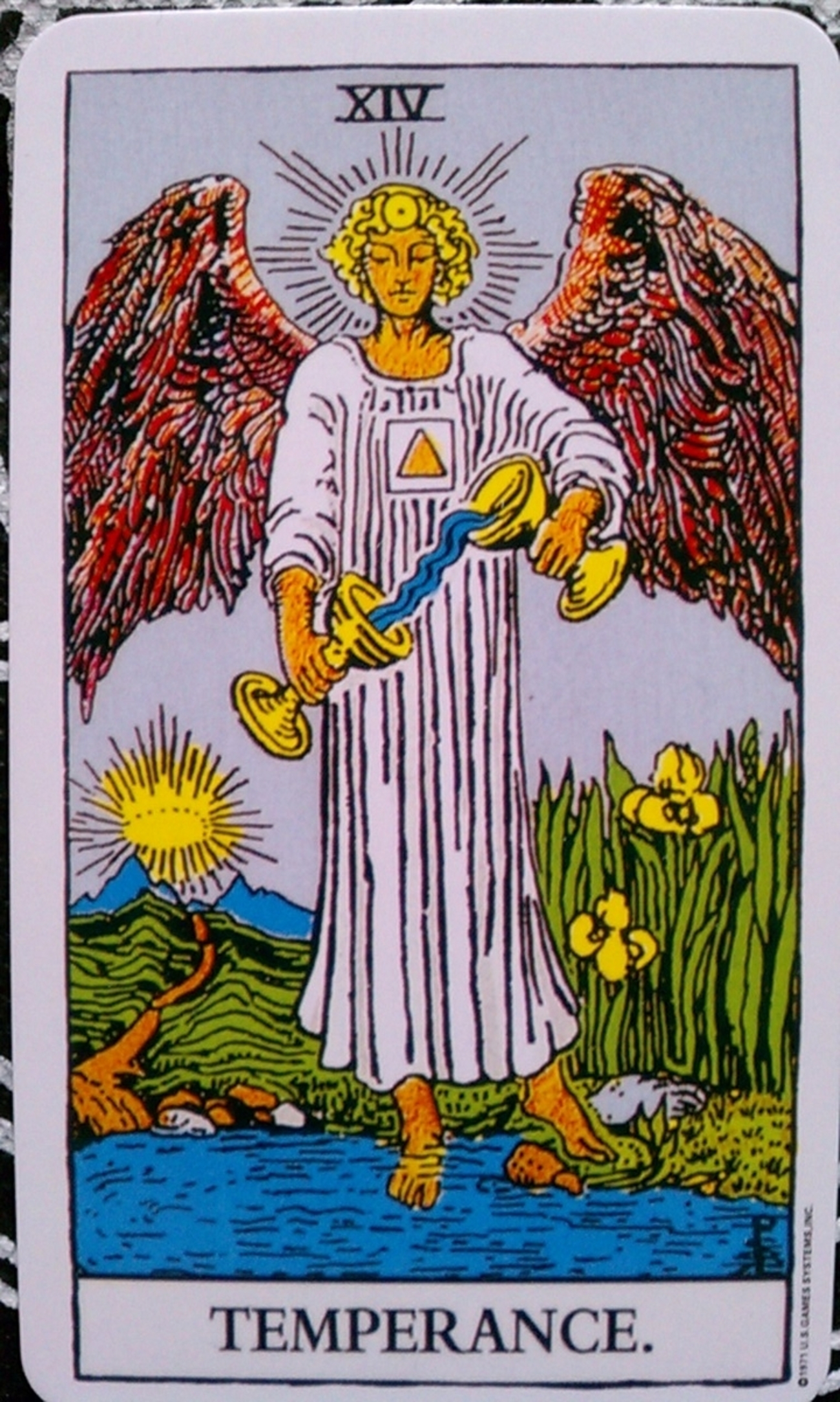 backend=imagemagick;version=1;