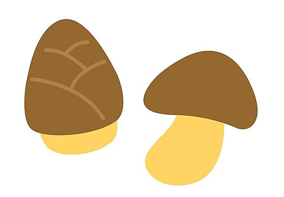 きのこの山とは 食の人気 最新記事を集めました はてな きのこの山とは 食の人気 最新記事を集めました はてな