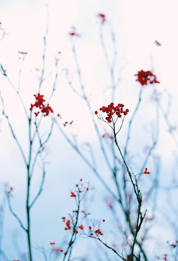 花様年華とは 映画の人気 最新記事を集めました はてな 花様年華とは 映画の人気 最新記事を集めました はてな