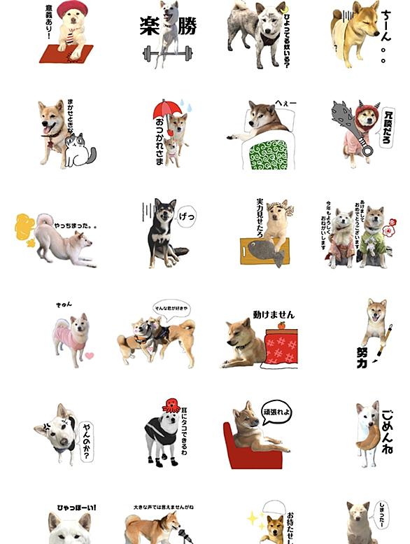 スタンプとは 一般の人気 最新記事を集めました はてな スタンプとは 一般の人気 最新記事を集めました はてな
