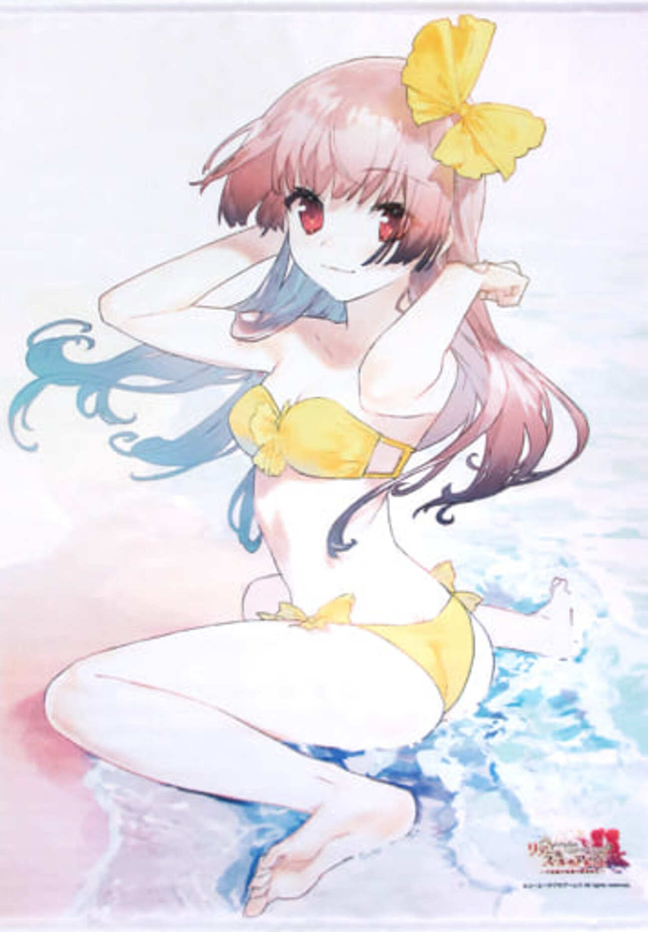 リディー・マーレン 描き下ろし絵 等身大タペストリー リディー＆スールのアトリエ backend=imagemagick;version=1;
