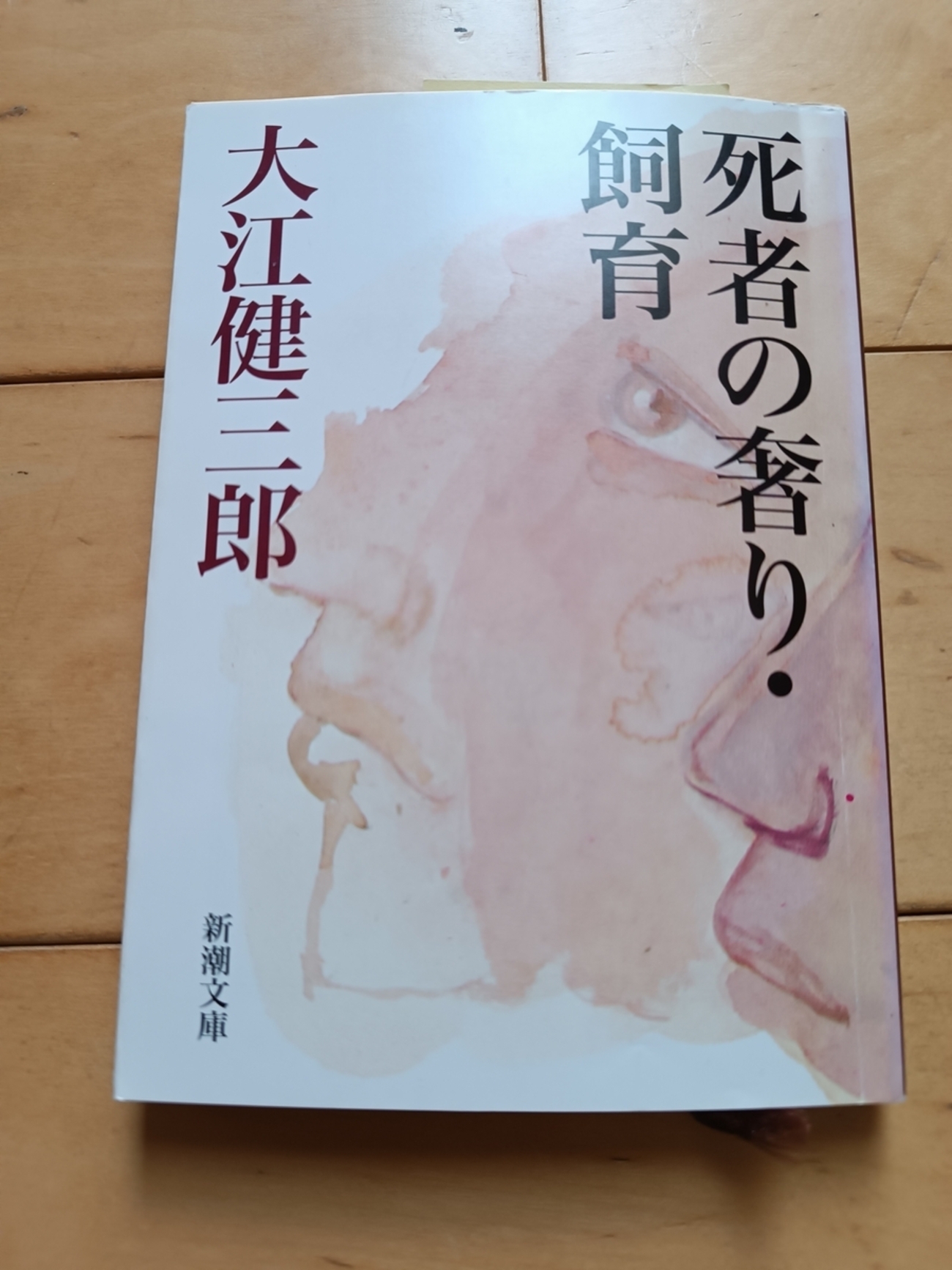シニシズム、あるいは偽善者の欺瞞を描く |『死者の奢り・飼育』大江