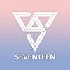 Seventeen Light Stick