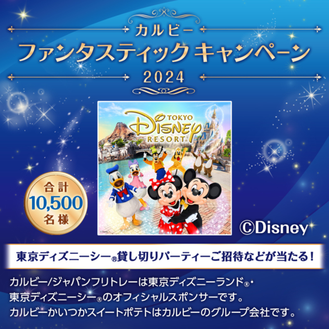 カルビー応募券 2603点 （2025年最新】カルビーファンタスティック 