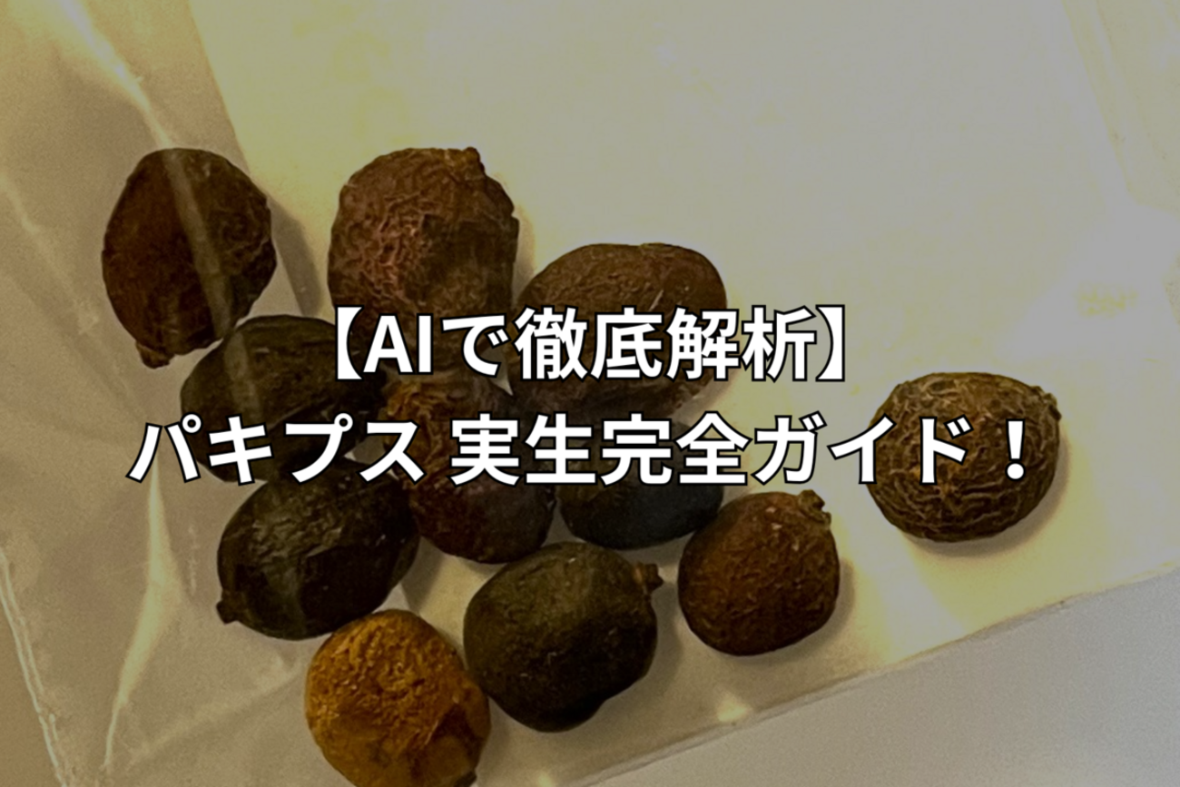 backend=imagemagick;version=1;