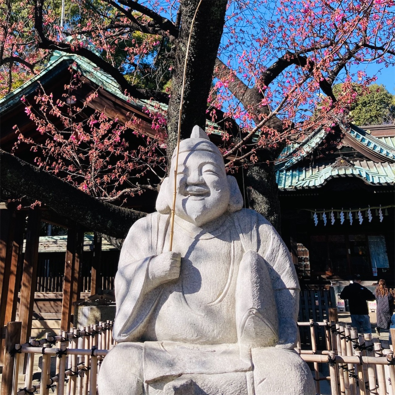 荏原神社で寒緋桜と恵比寿天 - 平日腰掛けOLのメモ帳