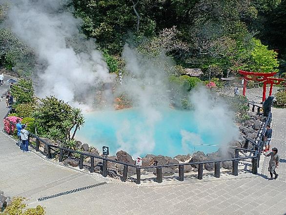 オオオニバスとは 動植物の人気 最新記事を集めました はてな