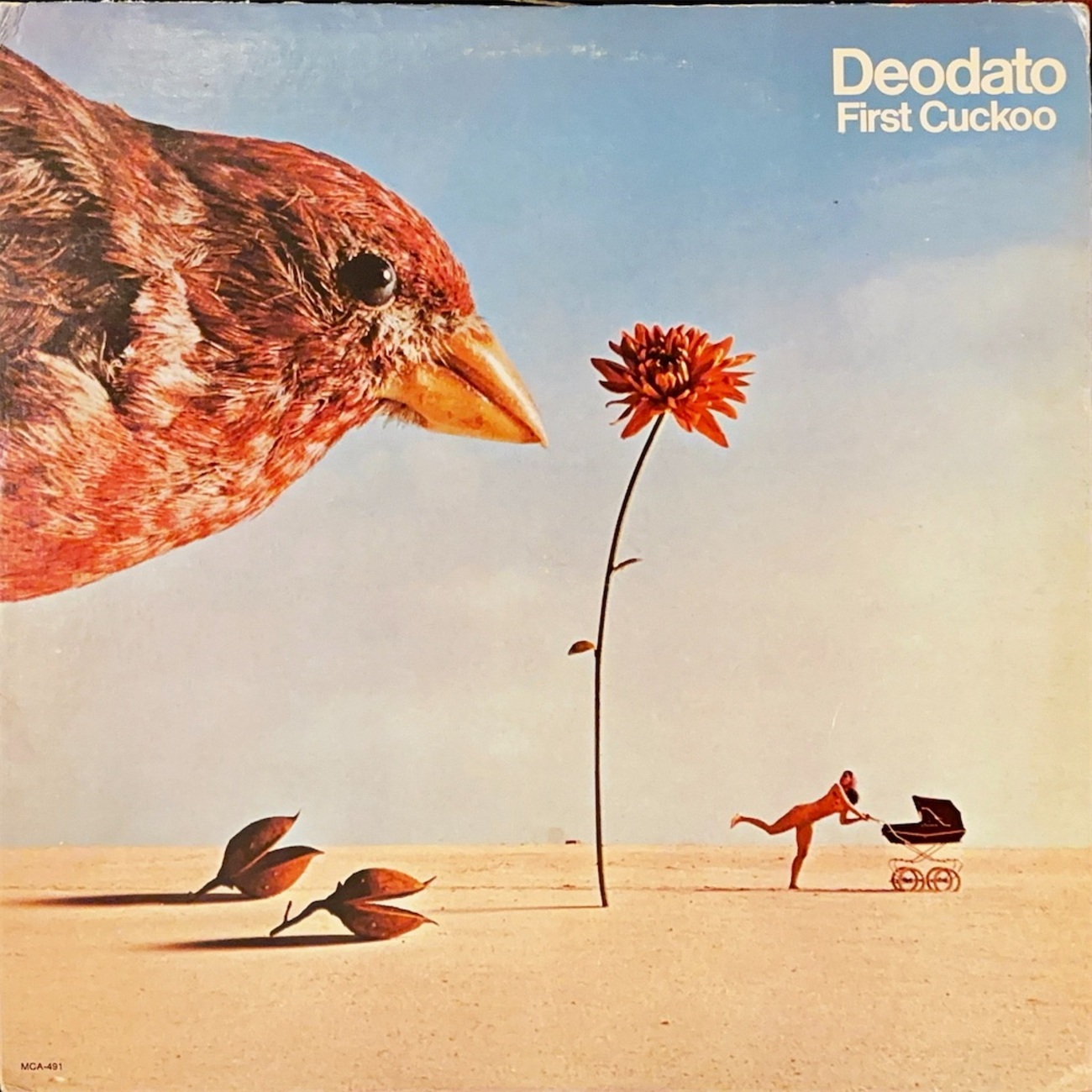 Deodato – First Cuckoo /MVC-33011 backend=imagemagick;version=1;