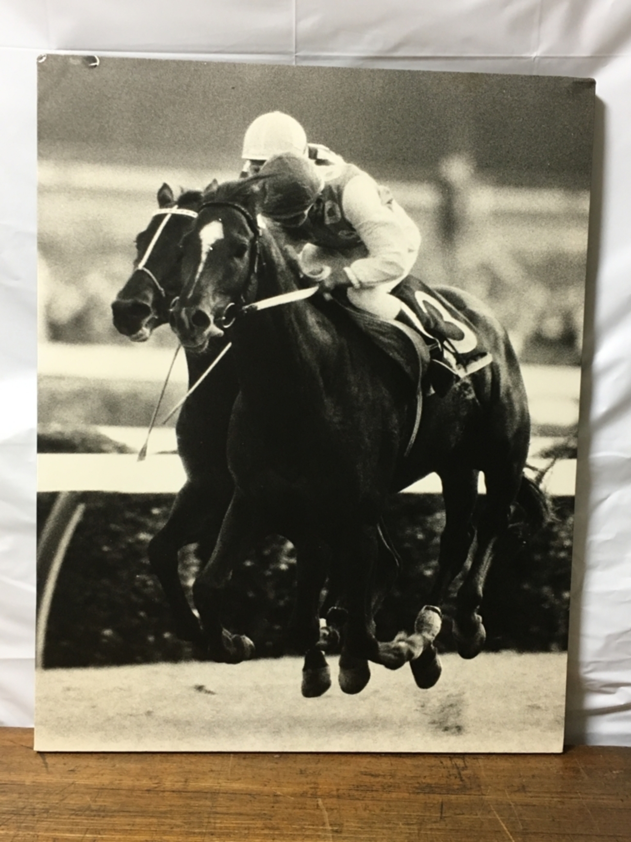 テンポイント　１９７７年・第２２回・有馬記念　優勝　記念限定品　シルバー925 テンポイント 1977年・第22回・有馬記念 優勝 記念限定品