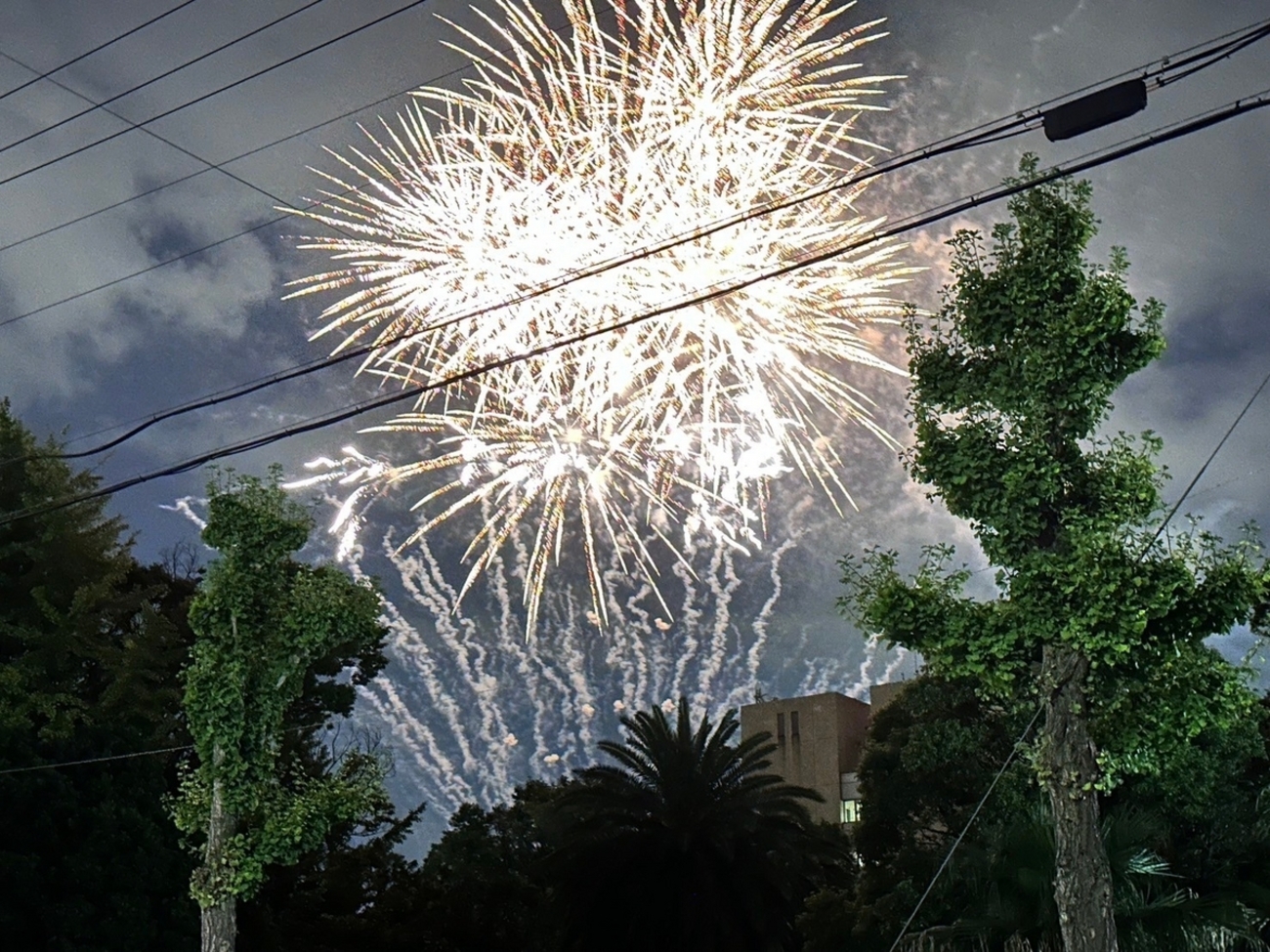 花火大会 2021 東海