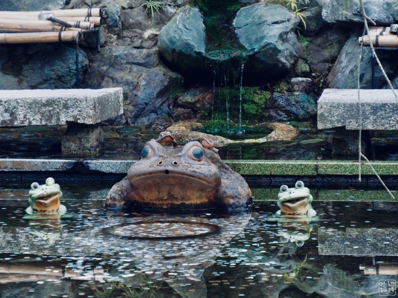 backend=imagemagick;version=1;