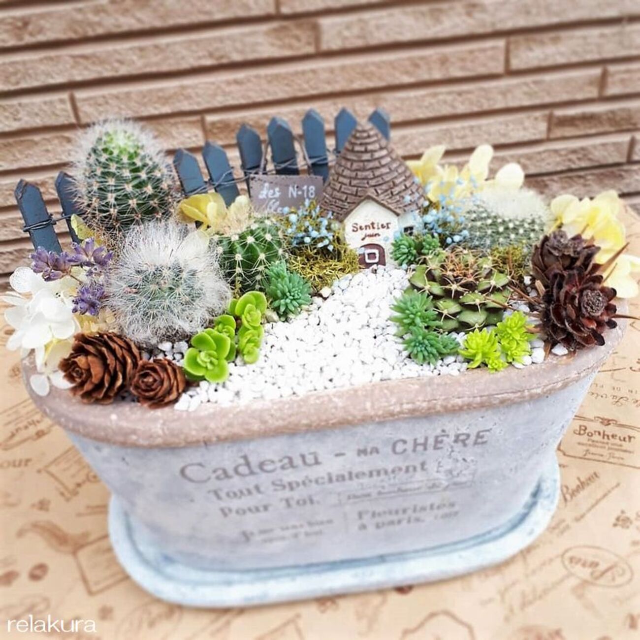 ミニサボテンの寄せ植え作りました～箱庭風～ - りらくら