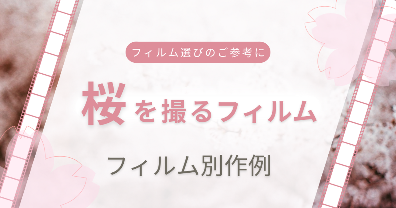 桜を撮るフィルム選びのご参考に！：フィルム別作例 - 〔BLOG〕パピオ 