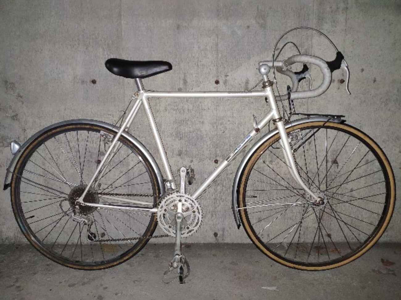 ブリヂストン・ユーラシア ディアゴナール - 札幌自転車日記