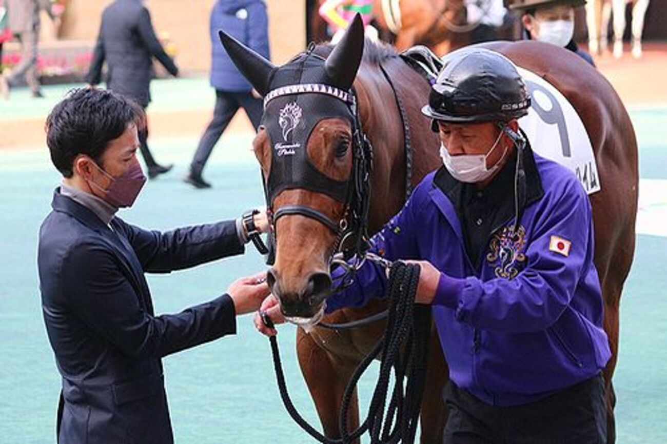 友道厩舎 Tomomichi Stable ジャケット 11日の検疫で栗東・友道厩舎へ帰厩しています。☆ロードマンハイム
