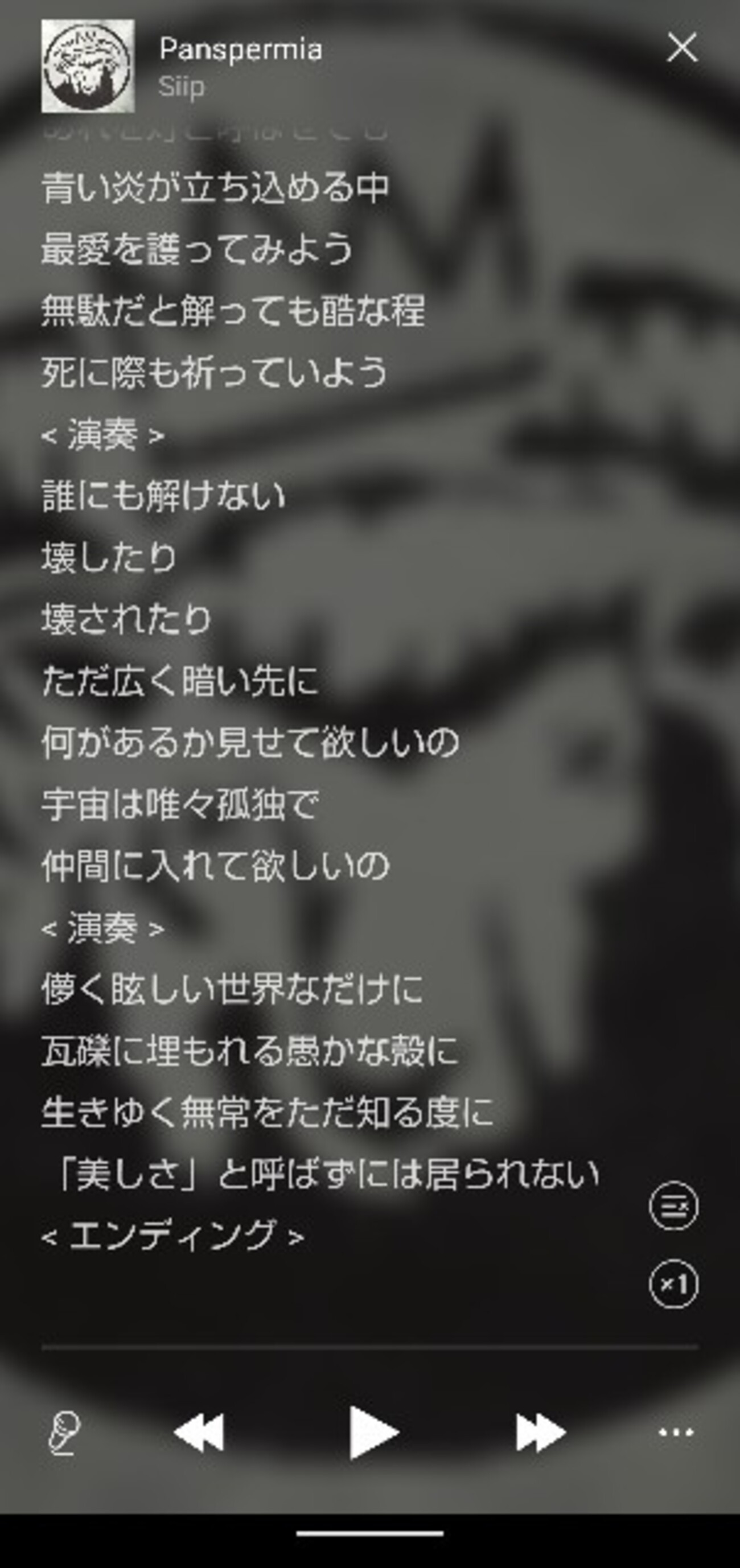 店主的2021年名盤紹介・その3】Siip『Siip』 - 偏好文庫－「好き」を 