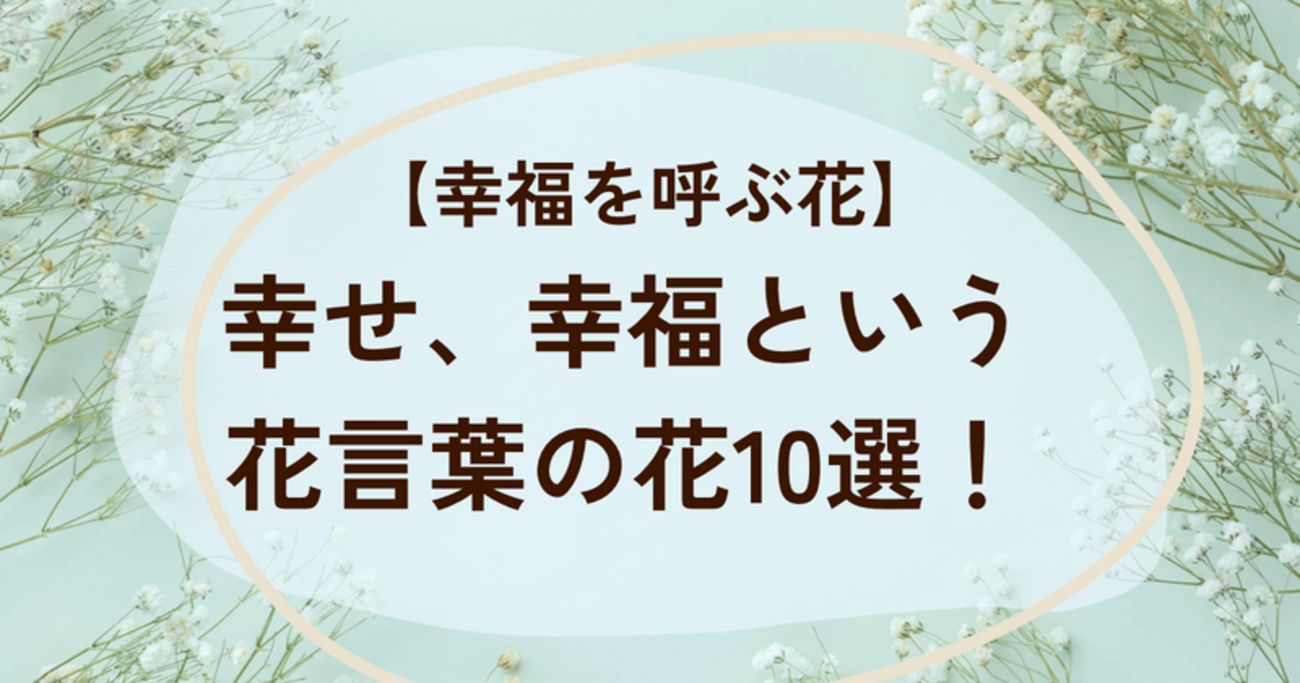 No.242 しばれ 幸せを呼ぶ幸運のお花ෆ⸒⸒