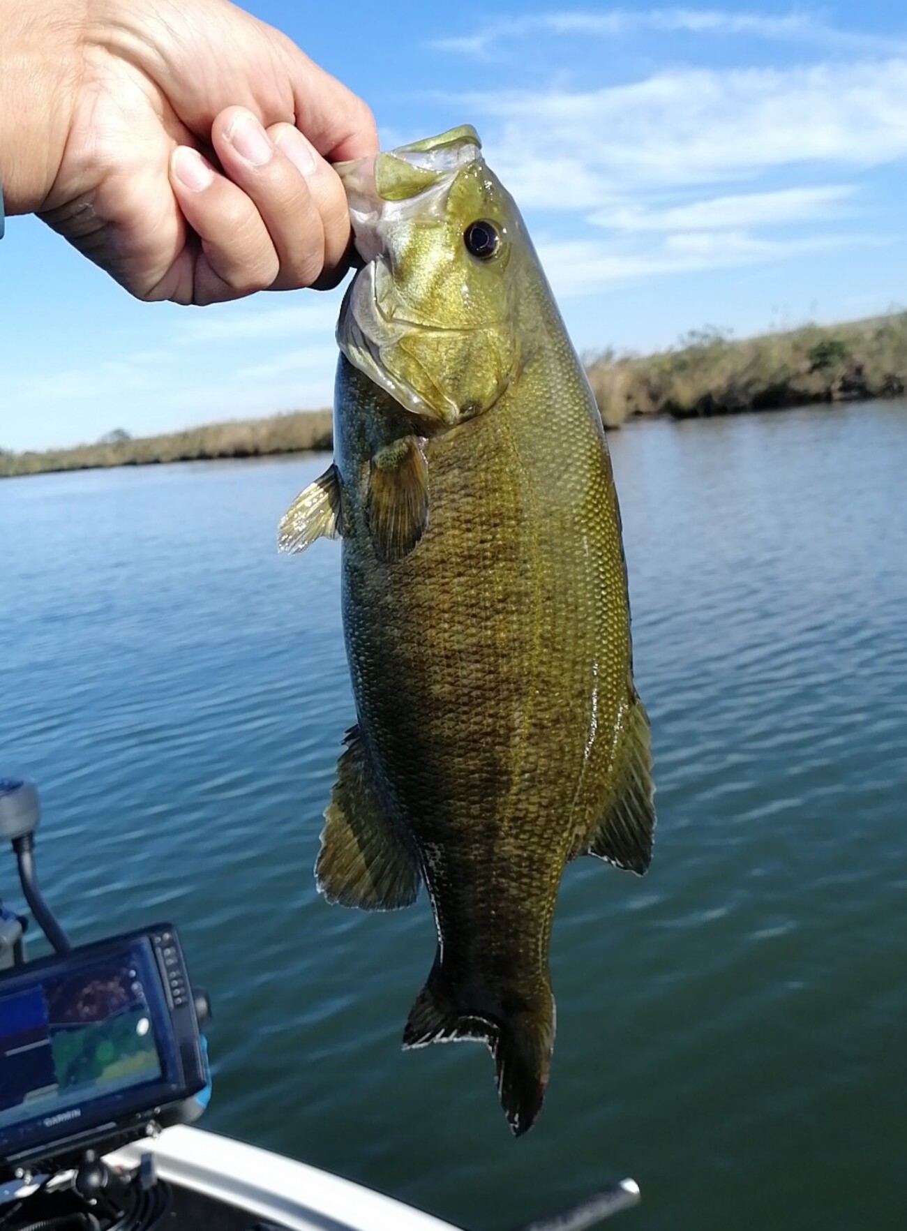 backend=imagemagick;version=1;