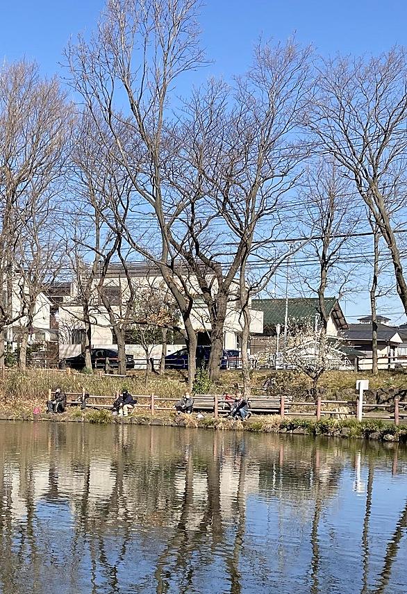 モツゴとは 動植物の人気 最新記事を集めました はてな