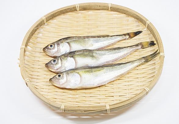 ハタハタとは 動植物の人気 最新記事を集めました はてな ハタハタとは 動植物の人気 最新記事を集めました はてな
