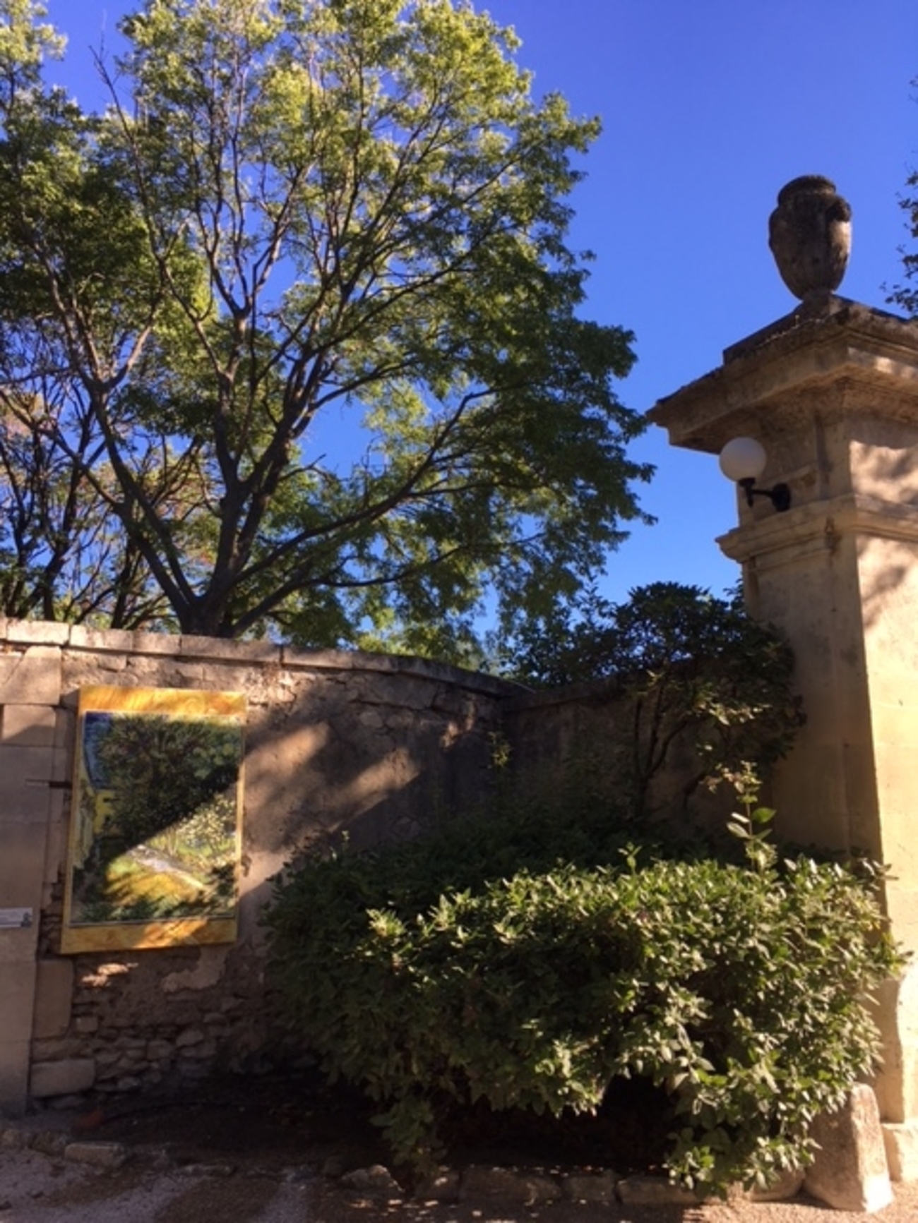 プロヴァンス旅行記④あの色彩が烟る場所へ in St Remy de Provence 