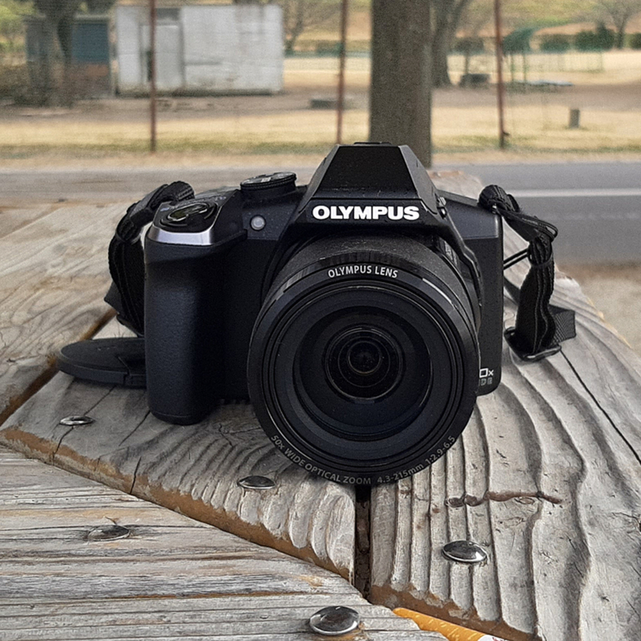 オリンパス SP100EE 50倍ズーム（OLYMPUSの魅力的な新製品 『SP-100EE 