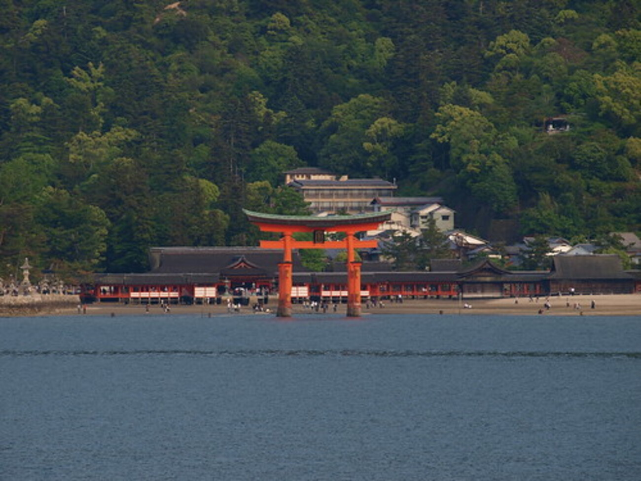 宮島の大鳥居から弥山まで〜そして出会った死にかけの鹿 - 沙東すず