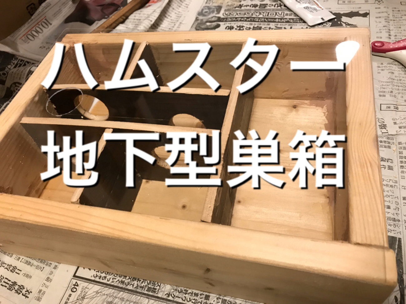 DIY】だいたい1000円で作るハムスター地下型巣箱 - ほぼゼロから始める