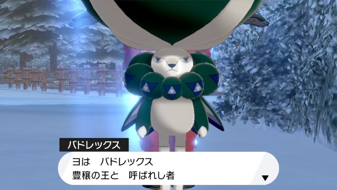 シャクヤアスナピオニーはくばバドレックス